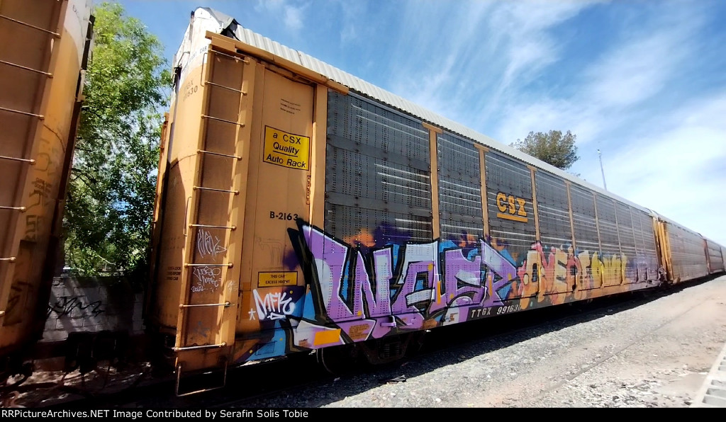 CSX B2163 TTGX 991630 Con Grafiti 